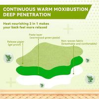 Herbal Knee Pain Relief Patches